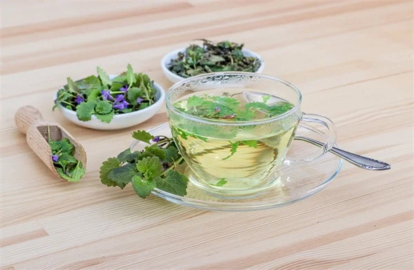 2020年ガーデニングが教えてくれた3つの教訓 – 初心者必見のデータと実体験
